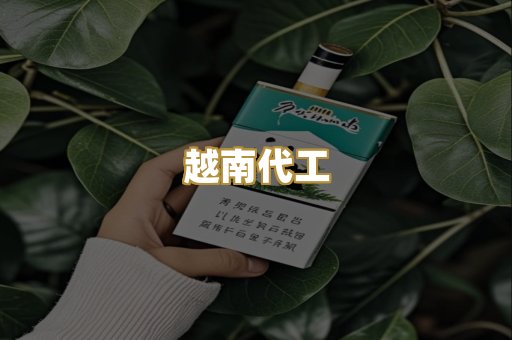 免税外烟